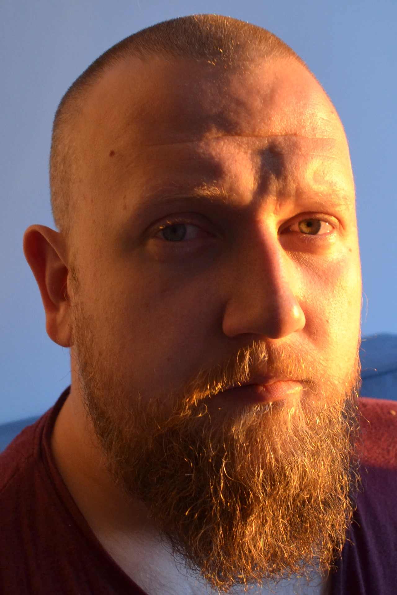 picture of adam
